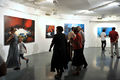 An exhibition at the <!--LINK'" 0:10-->, 2010