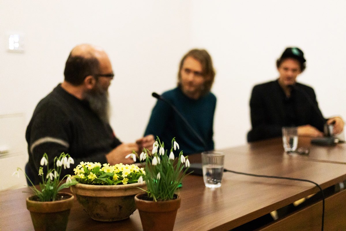 Snowdrops and Primroses Festival 2020 Festival panel Photo Nada Zgank.jpg