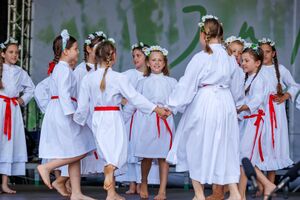 Meeting of children's folklore groups of Bela Krajina, <!--LINK'" 0:347--> 2022. Author: Jani Pavlin