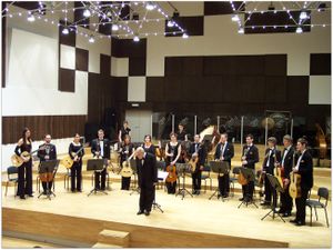 <!--LINK'" 0:298--> performing at the Belgrade Philharmonic Concert Hall, 2007