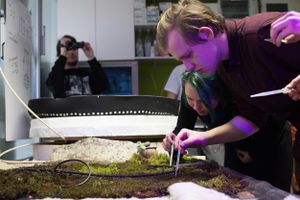 <!--LINK'" 0:424--> workshop, 2016