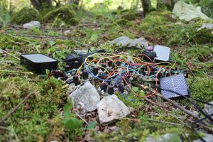 Hacking the meadows at <!--LINK'" 0:592-->, 2015
