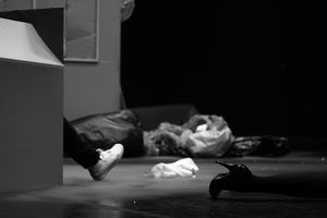 <i>Springville</i> by Miet Warlop, performed at <!--LINK'" 0:227--> in <!--LINK'" 0:228-->, 2013