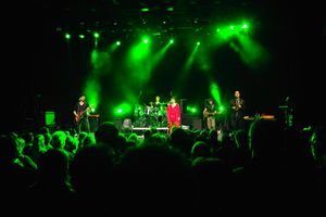 <!--LINK'" 0:381--> performing at <!--LINK'" 0:382-->, 2013