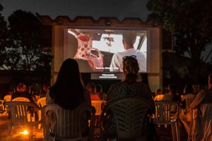 Screening at <i>Arrigoni</i> open-air cinema, 16th <!--LINK'" 0:1050-->, 2020.