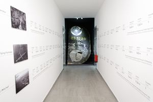 Exhibition at <!--LINK'" 0:235-->, 2020.