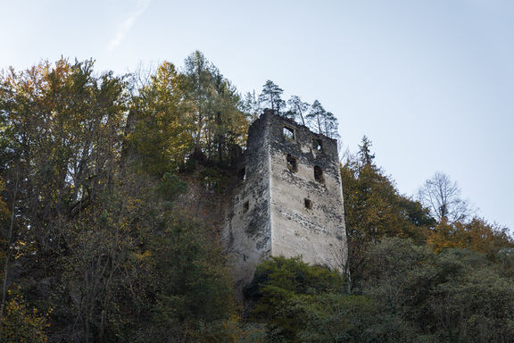 Castle Pukstein's ruins near Bukovje Manor House, 2019.