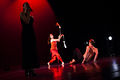 Celje Dance Forum 2011 Let na krilih plesa Photo Rok Trzan.jpg