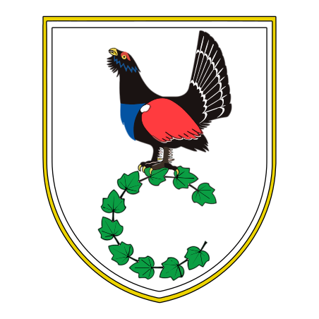 Municipality of Cerkno coat of arms.svg