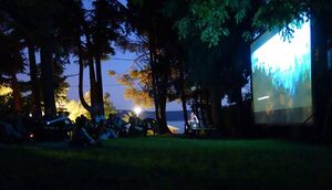 Screening of the <i>Video on the Beach</i> section, <!--LINK'" 0:307--> 2014.