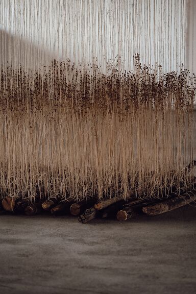 Biennial of Textile Art BIEN 2023 Ripening Photo Masa Pirc.jpg