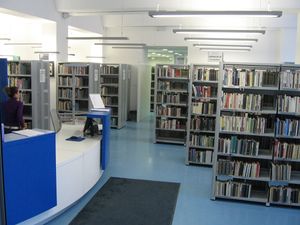 <!--LINK'" 0:138--> has a collection of over 110,000 library items, 40 % of which are aimed at young people