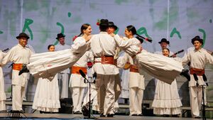 Folklore group from Dragatuš at <!--LINK'" 0:36--> in 2022. Author: Jani Pavlin