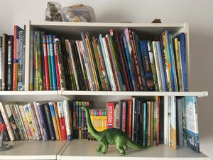 The home library of book blogger <!--LINK'" 0:177--> boasts a hearty collection of children’s picture books.