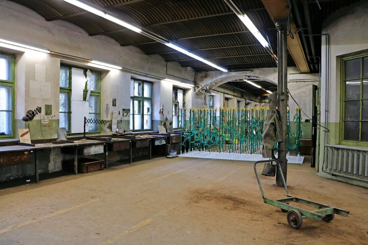 Priden možic Cultural Association 2025 Cultural Barutana Photo Goran Završnik.jpg