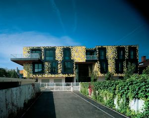 The <i>Condominium Trnovski Pristan</i> (lovingly called the <i>Salamander</i>) is one of the two rather distinctive residential projects in the Trnovo district that were designed by <!--LINK'" 0:38-->, 2004