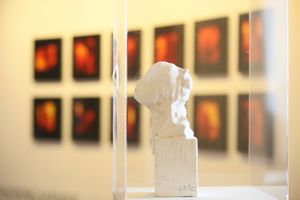 An artwork by Jordi Alcaraz, presented at the "Wunderkammer â The Grand Tour" exhibition at the 2015 edition of <!--LINK'" 0:770-->