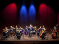 Slovene Philharmonic String Chamber Orchestra 2014 concert at Nova Gorica Arts Centre Photo Matej Vidmar.jpg