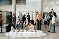 International Triennial Ecology and Art 2021 onlookers at the opening of the exhibition Photo Sara Rezar.jpg