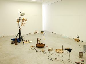 Rie Nakajima & Pierre Berthet at <!--LINK'" 0:191-->, <!--LINK'" 0:192-->, 2016