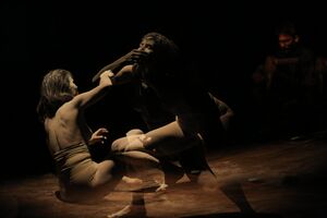 The virtual Q&A between Japanese author Mieko Kawakami and Nagisa Moritoki Škof that was accompanied by a Butoh performance by Darinka Pillari took place at <!--LINK'" 0:121-->'s Club CD in 2022. The event presented <i>Summer Stories</i>, Kawakami's 2019 novel.