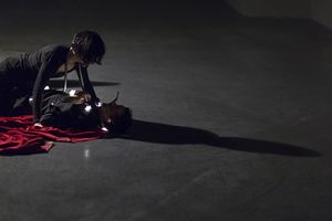 <!--LINK'" 0:154--> and <!--LINK'" 0:155--> in <i>Desire Caught by the Tail</i>, directed by <!--LINK'" 0:156--> and staged at the <!--LINK'" 0:157-->, 2014. A play written by Pablo Picasso in 1941 in Paris, was tranlated into Slovene by <!--LINK'" 0:158-->.