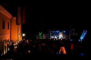 Concert at Muzejski vrtovi (museum gardens), <!--LINK'" 0:200-->, Novo mesto, 2010
