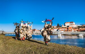 Kurents' door-to-door rounds, <!--LINK'" 0:1346--> in Ptuj, 2023. Author: Stanko Vozel