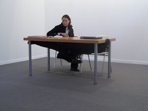 The <i>Under Real</i> piece by Sislej Xhafa in ŠKUC Gallery (2005)