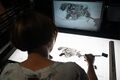 Animator <!--LINK'" 0:21--> at work. The peer2peer meeting of the DSAF resident Naomi van Niekerk with Slovene animators in September 2024 at <!--LINK'" 0:22--> Studio.