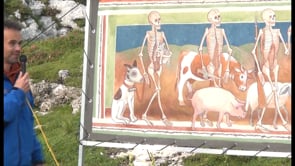 Animal Dance Macabre