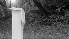 ArhitekturaSanj-Knjiga