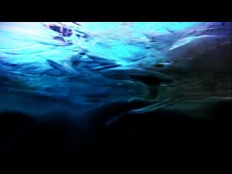 PureH - Kogel (Pharmafabrik FSV2)