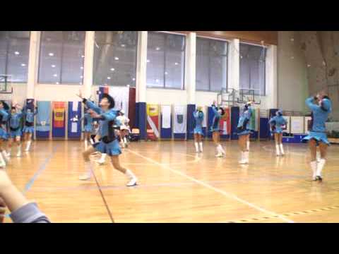 Mažoretke Trebnje DP MTZS 2009 Kranj senior- figurativa