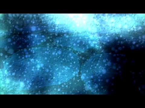 Pharmafabrik - Fabriksampler V2 (DVD)