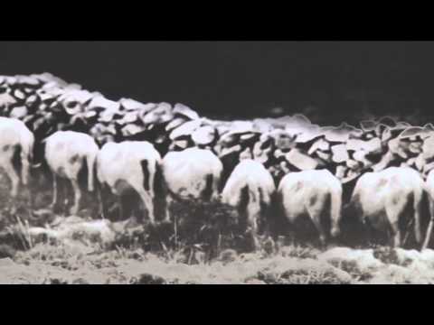 HERMAN PIVK - OBISKI / VISITS - TOVARNA UMETNOSTI / ART FACTORY