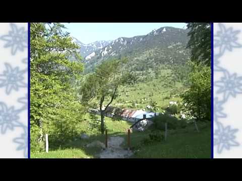 Planine Tolminskih gora, sirarstvo in mlekarstvo skozi čas, Mlekarna Planika Kobarid, sir Tolminc